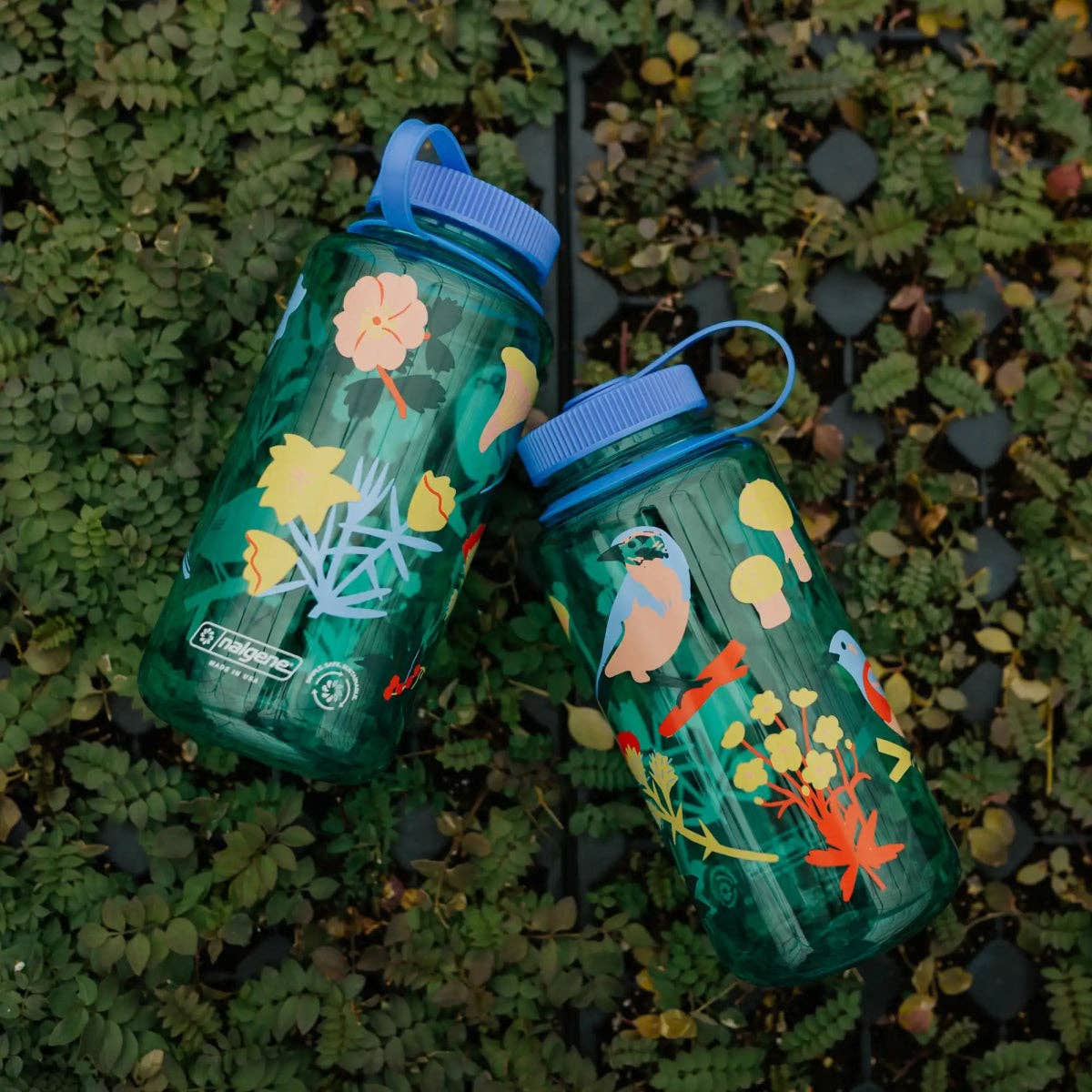 Native Plants & Birds Nalgene
