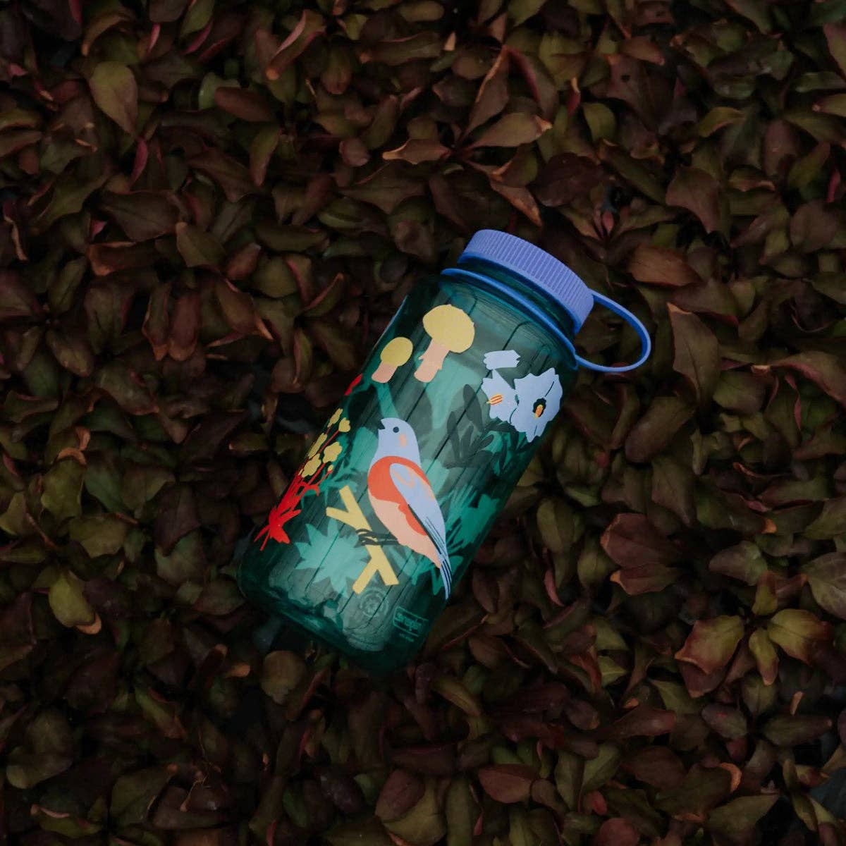 Native Plants & Birds Nalgene