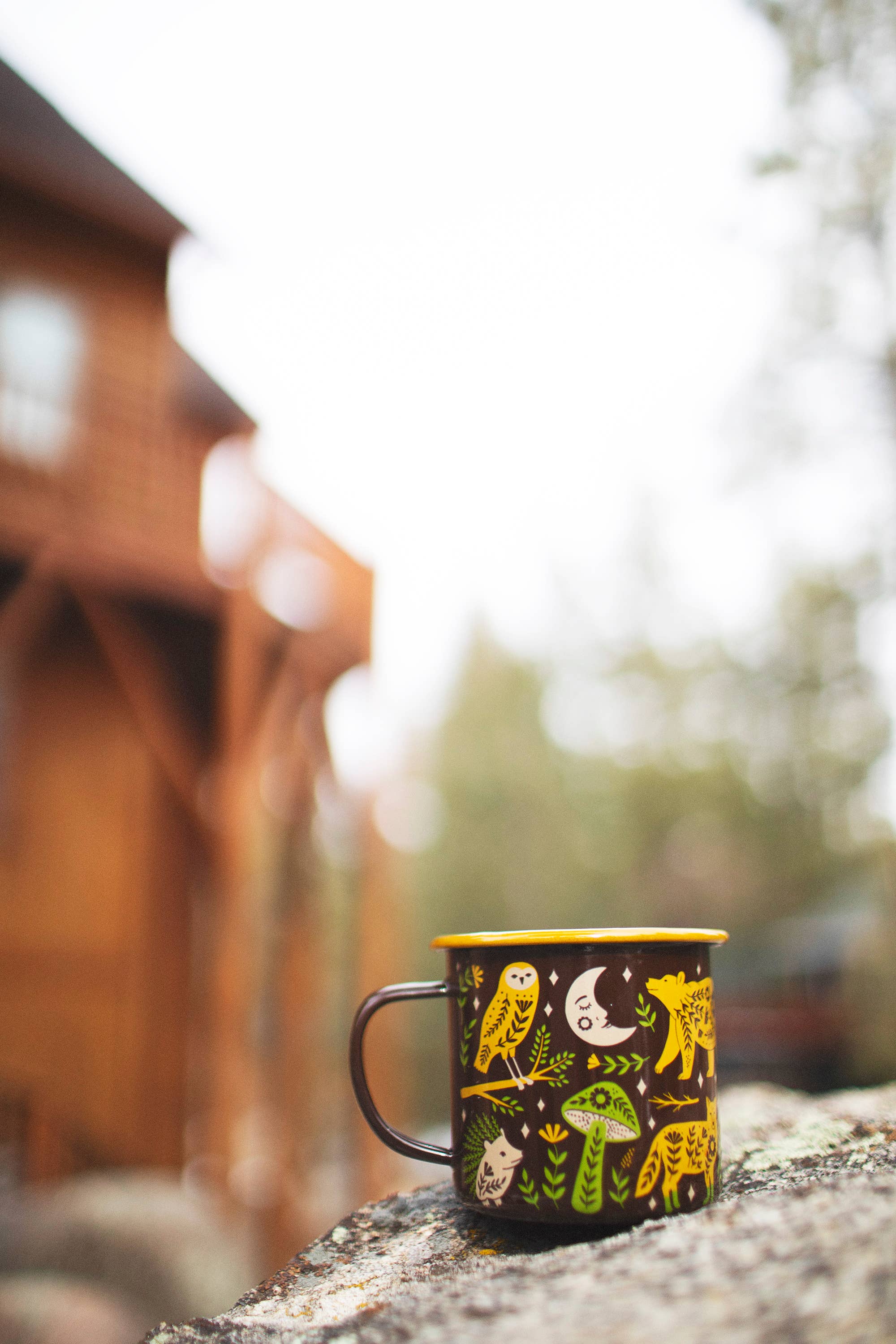 Enamelware Coffee & Camp Mug | Woodland Friends | 16 Oz