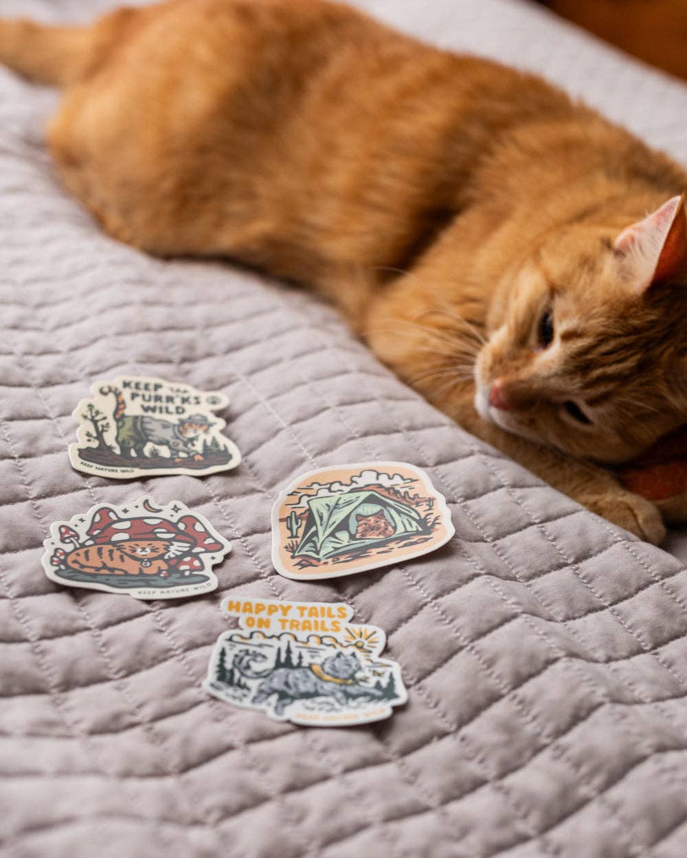 Toadstool Tabby | Sticker
