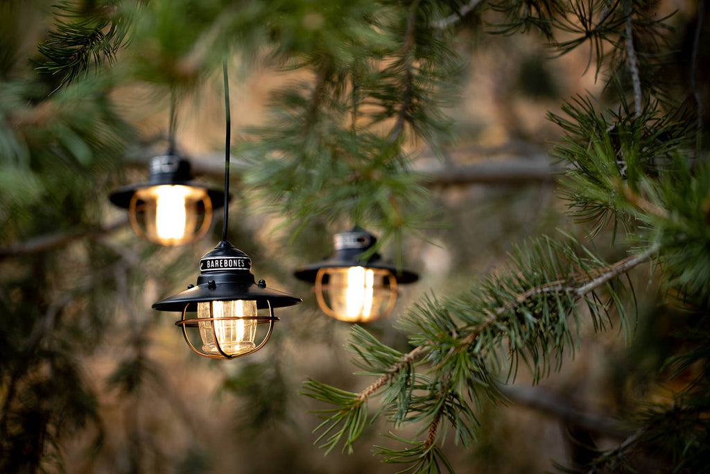 Edison String Lights