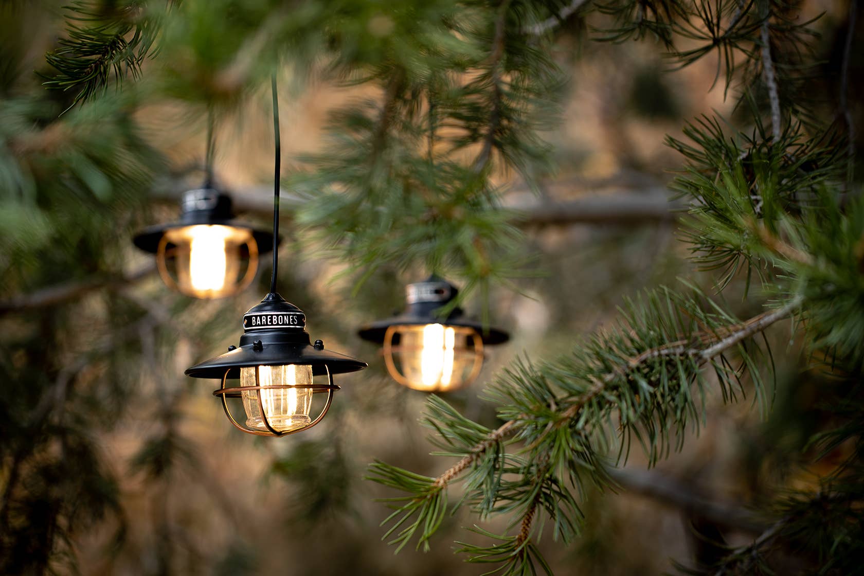 Edison String Lights