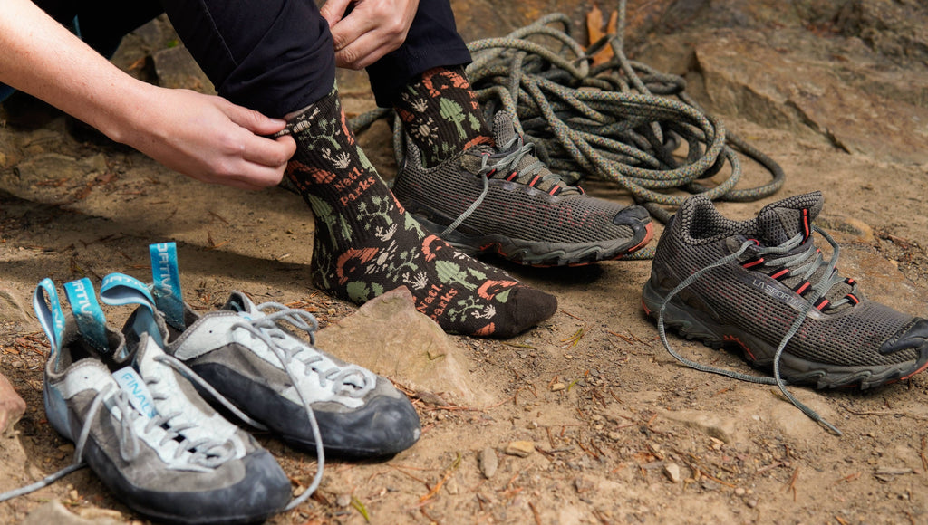 National Park Roundup Sock